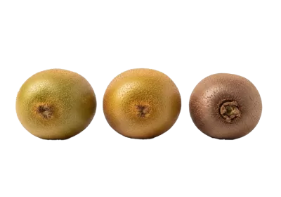 Imagen PNG para descargar